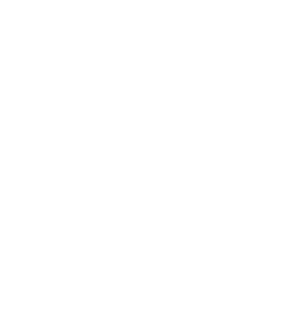white logo for the city of Palmetto